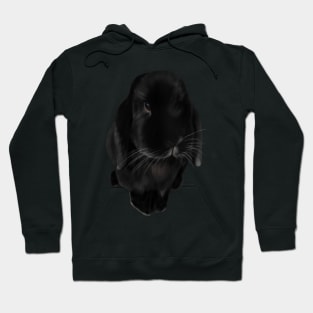 Oreo - Bunny Hoodie